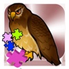Bird - Hawk Puzzle Learning For Kids - Animals
