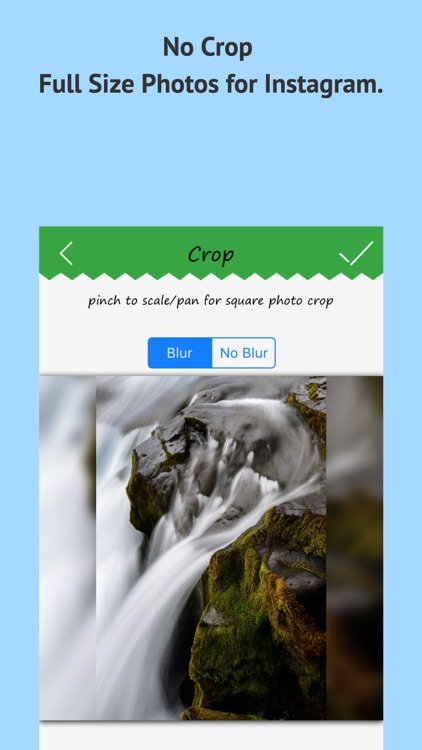 White Background for Instagram Square photo Editor