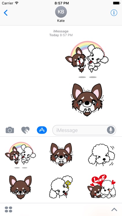 Poodle Dog Stickers for iMessage Daily Use