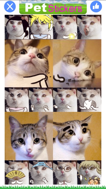 Pet Stickers - Cats & Dogs Animated Gif Stickers