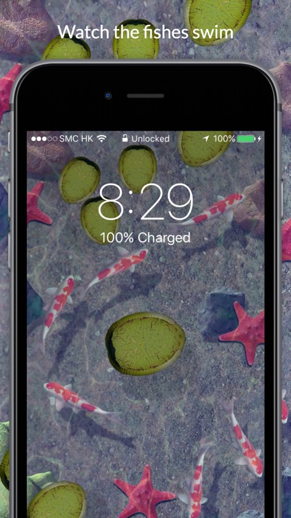 Koi Pond Live Wallpapers