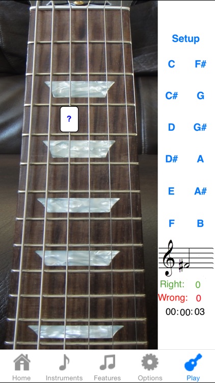 Electric Guitar Fret Addict