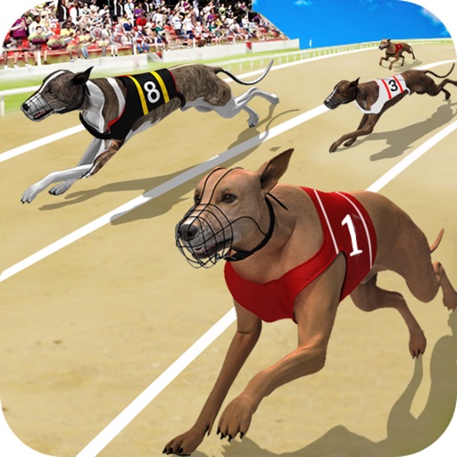 Dog Racing Championship : Puppy Runner Simulator icon
