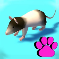 Cat Toy  Games for Cats 3D