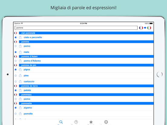 Offline French Italian Dictionary screenshot 3