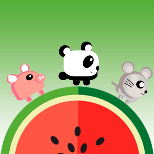 Cute Animal Runner iOS App