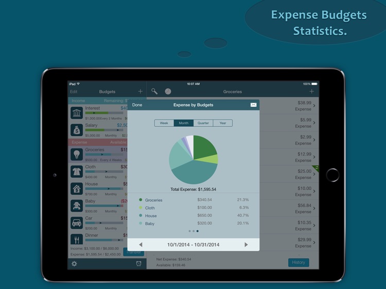 Best Budget for iPad - Money Saver and Expense Log