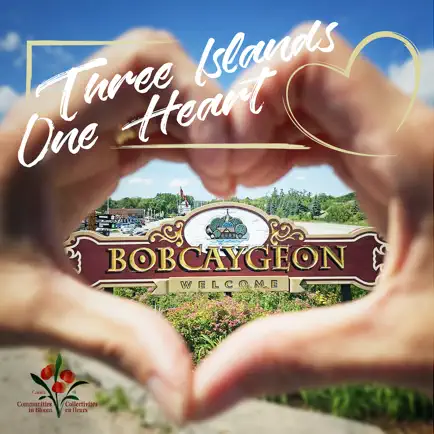 Bobcaygeon TSW Trail Town Читы