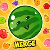 Watermelon Fruit Merge Game 3D