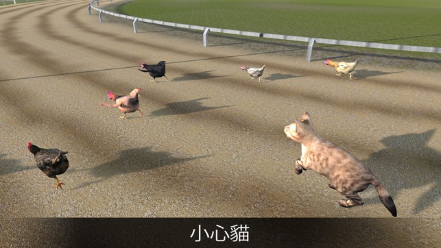 Hen Racing Simulator - Race Free Range Chickens(圖2)-速報App