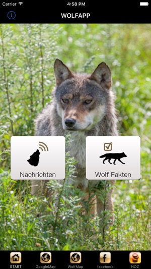 WolfApp(圖2)-速報App