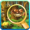 Secret Mystery Hidden Objects