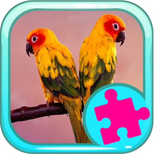 Puzzle Parrot Games And Jigsaw For Kids
