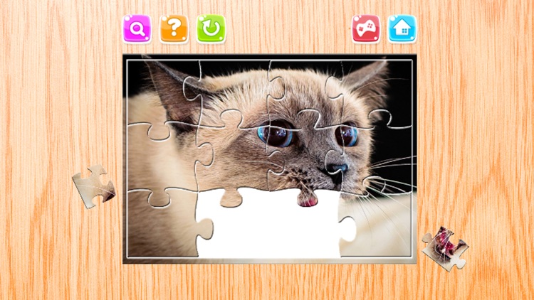 Cat Jigsaw Puzzles Game Animals for Adults