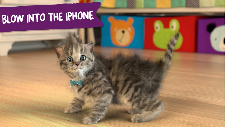 Little Kitten - My Favorite Cat screenshot-3