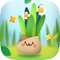 Pocket Plants: Cozy plant game