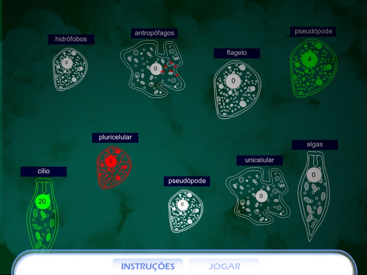 Reino protista screenshot-3