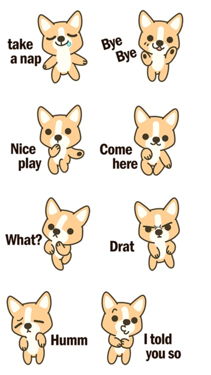 Corgi Text Stickers