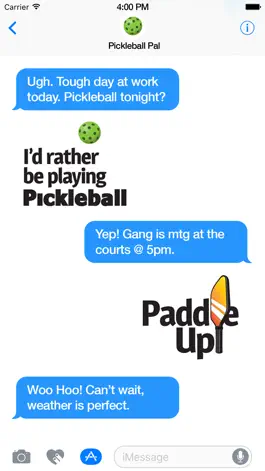 Game screenshot Pickleball Fun hack