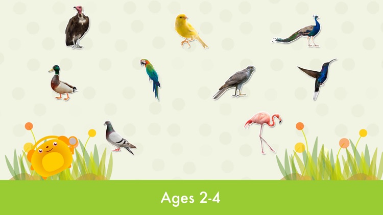 Kid Safe Flashcards - Animals