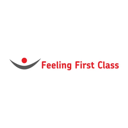 Feeling First Class Читы