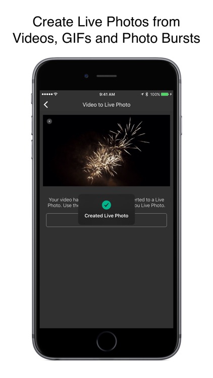 Live Studio - Converter for Live Photos