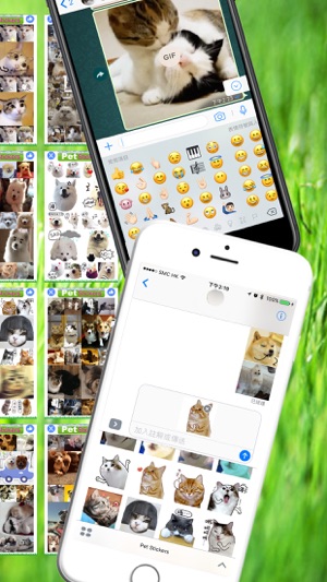 Pet Stickers - Cats & Dogs Animated Gif Stickers(圖2)-速報App