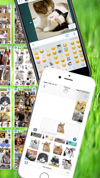 Pet Stickers - Cats & Dogs Animated Gif Stickers screenshot-1