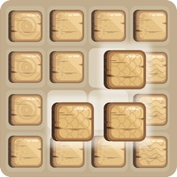 Wooden Jigsaw 10 by 10 - Color 6 Switch Socratic