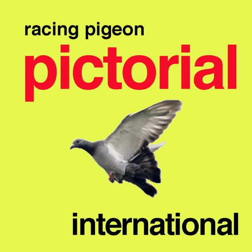 Racing Pigeon Pictorial International