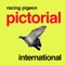 The Racing Pigeon Pictorial International highlights