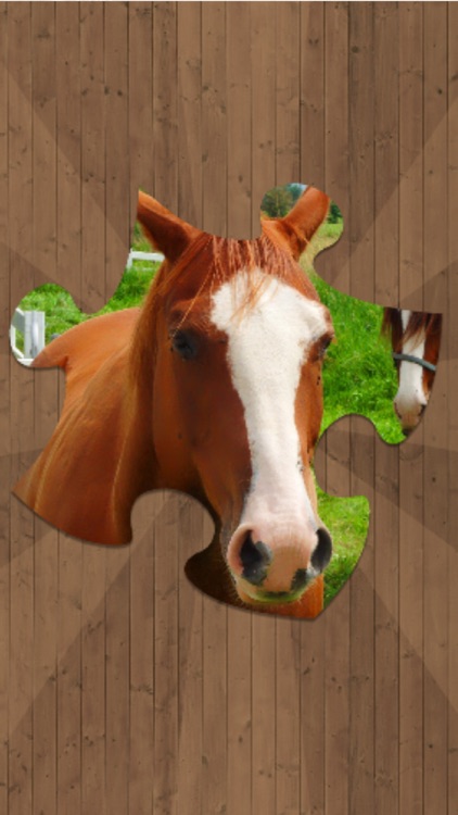 Horse Jigsaw Puzzles - Brain Training Games