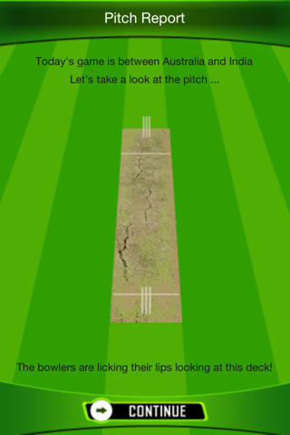 The Best Cricket Game Ever screenshot 3