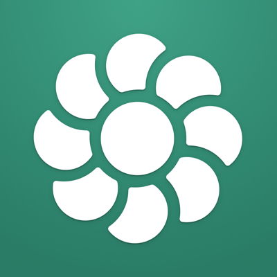 Kin: Social Habit Tracker