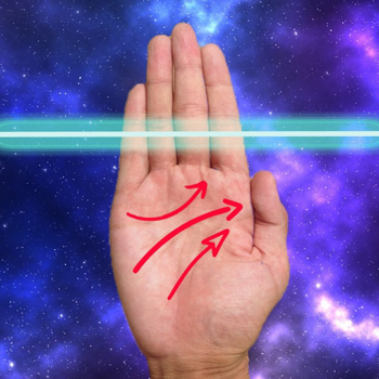 Descargar Lectura De Palma