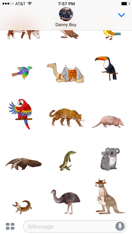 Jazzy World Animals - Wildlife Zoo Stickers screenshot-3