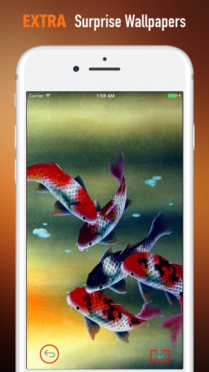 koi fish tumblr theme