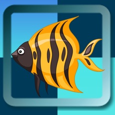 Activities of Matching Sea Fish : Memory games match game