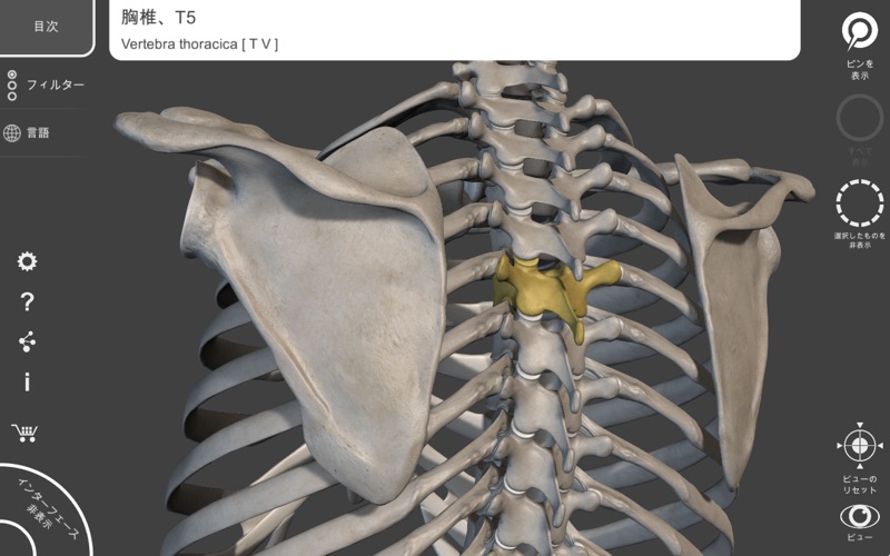 骨格 - 解剖学3D アトラス screenshot1