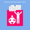Routine of exercise in gym