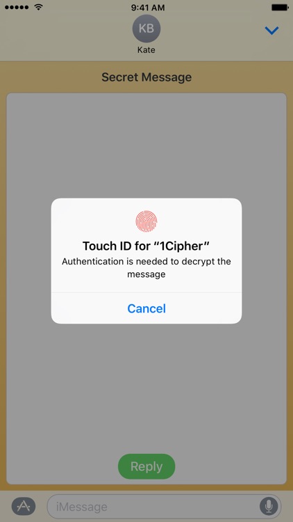 Cipher - Secret and Digitally Signed Messages