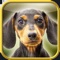 The Lost Dachshund is a relaxing adventure game where you search for Peanut, a dachshund puppy who is running amok on peaceful Waldi Island, before the ferry arrives carrying your granddaughter