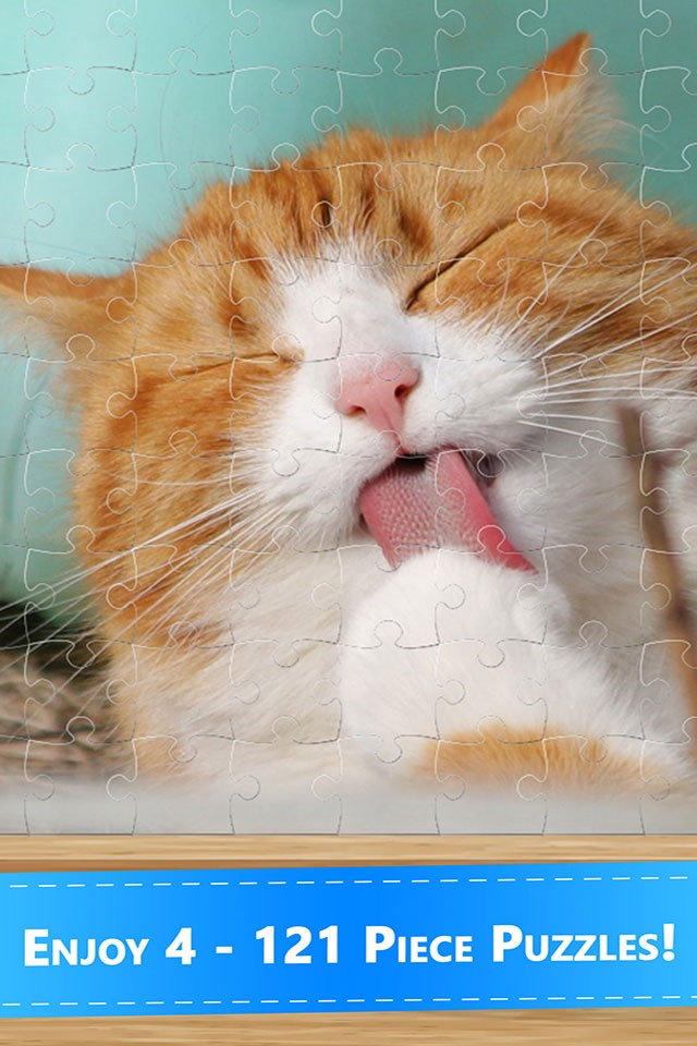 Cute Kitten Cat Jigsaw Puzzle screenshot 2