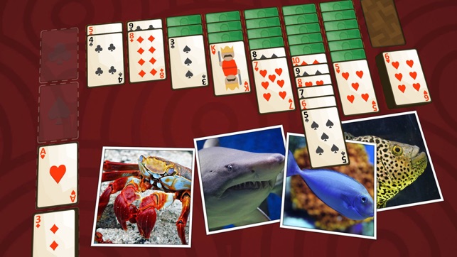 Solitaire Marine Life(圖4)-速報App