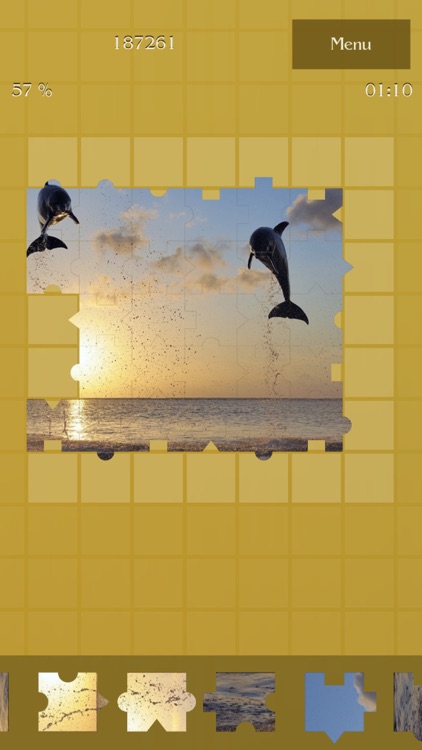 Amazing Photo Puzzles