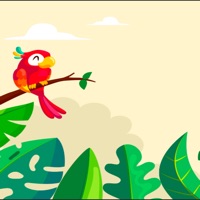 Bird Fly Know
