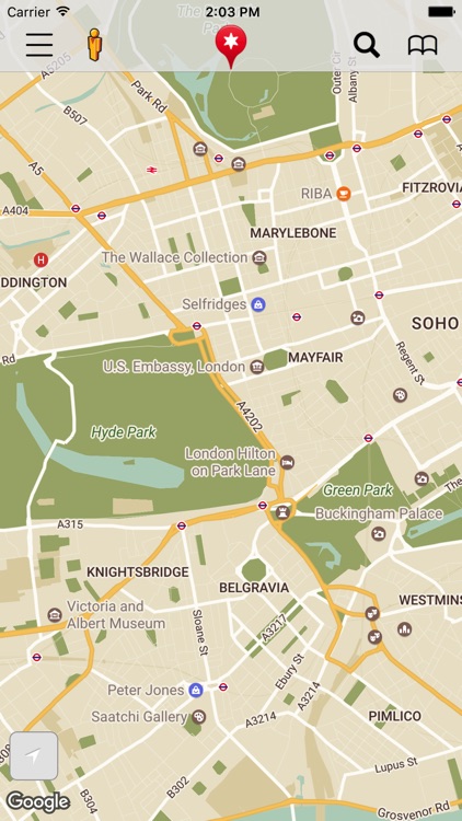 Maps Pro with Google Maps screenshot-3