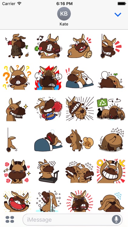 Funny Donkey