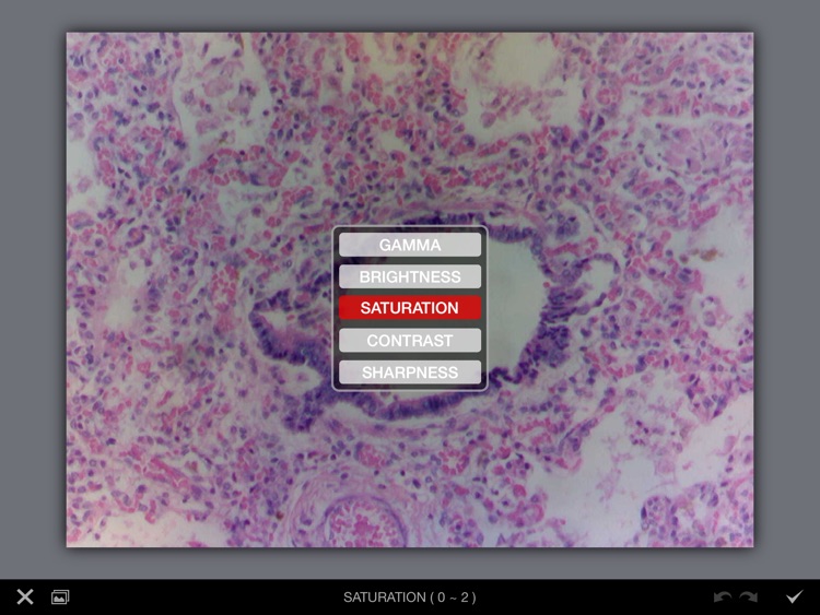 MotiConnect Pro