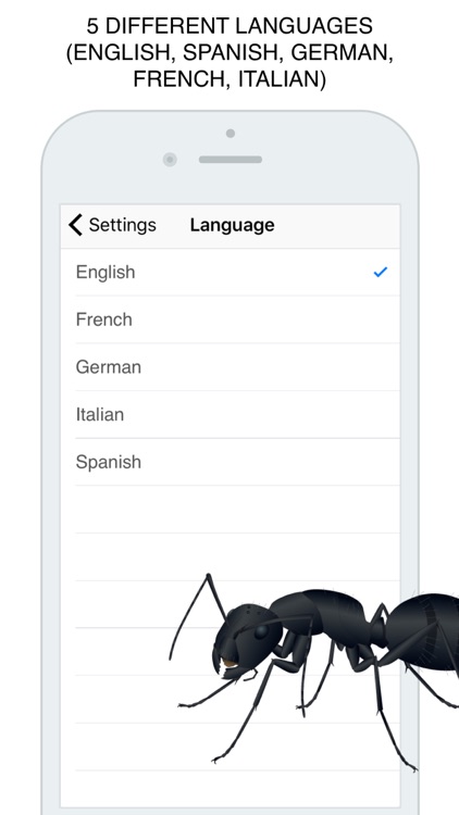 Insects Flashcard for babies and preschool Pro